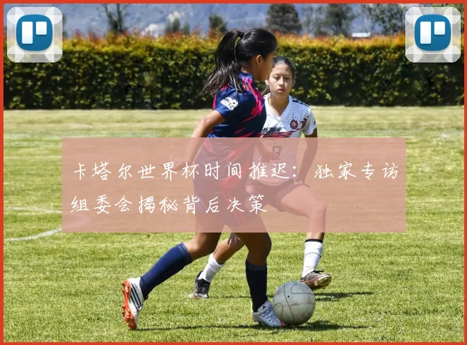 卡塔尔世界杯时间推迟：独家专访组委会揭秘背后决策