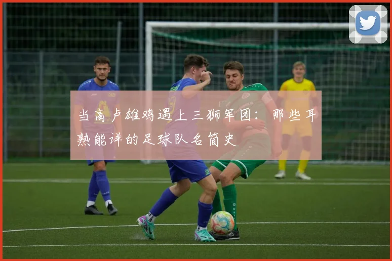 当高卢雄鸡遇上三狮军团：那些耳熟能详的足球队名简史